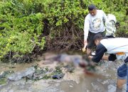 Di Duga Terkena Sengatan Listrik, Sebuah Mayat Ditemukan Di Sekitar Empang Milik Mantan Kajari Luwu