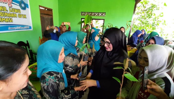 Ketua TP PKK Kabupaten Luwu Bagikan Bibit Durian Ke Desa