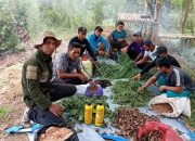 Kepala BDLHK Dorong Kelompok Tani Hutan Produksi Pupuk Bokashi