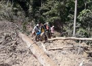 Parah.. Jalan Latimojong Longsor, Lumpur dan Pohon Kayu Tutupi Badan Jalan