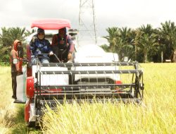 Peduli Pertanian, Fadriaty Kembali Bagikan Handtraktor dan Combine Harvester Bagi Petani di Luwu
