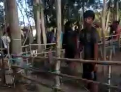 Judi Sabung Ayam di Suli, Taruhan Sampai Puluhan Juta, Polisi Diharap Ambil Tindakan