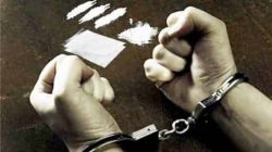 Terlibat Peredaran Narkoba, JPU Kejari Luwu Tuntut Sang “Jenderal” Enam Tahun Penjara Denda 1 Miliar