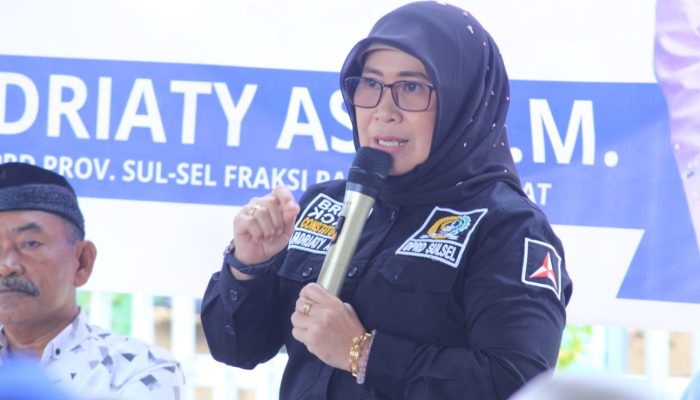 Gelar Pengawasan Penyeleggaraan Pemerintah, Fadriaty Disambut Haru, Warga  Korban Bencana Curhat 