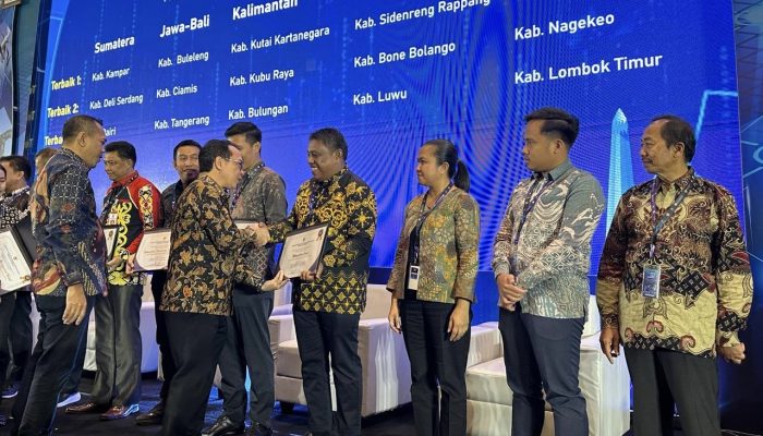 Luwu Raih Penghargaan TP2DD Kabupaten Terbaik ke-3 Wilayah Sulawesi